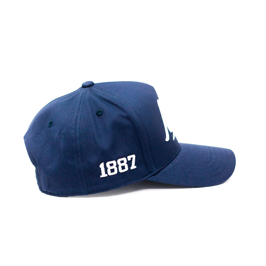 Yankee